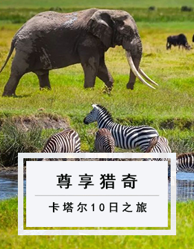 【尊享獵奇】探索神秘國度肯尼亞&卡塔爾10日之旅